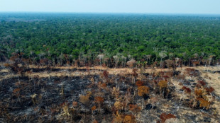 Brasilien empfängt andere Amazonasstaaten zu Gipfeltreffen 