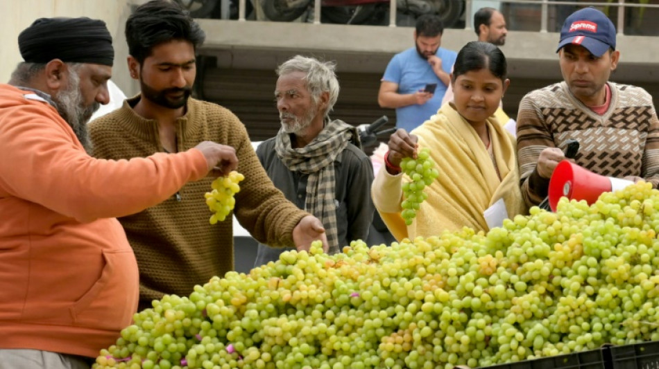 Produção mundial de vinho caiu 10% em 2023