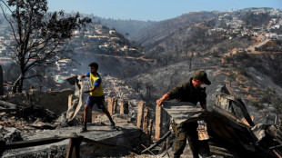 "Está todo quemado": el trágico saldo que deja incendio en Chile