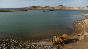 Giant New Mexico fire rages as drought-hit US West braces for summer