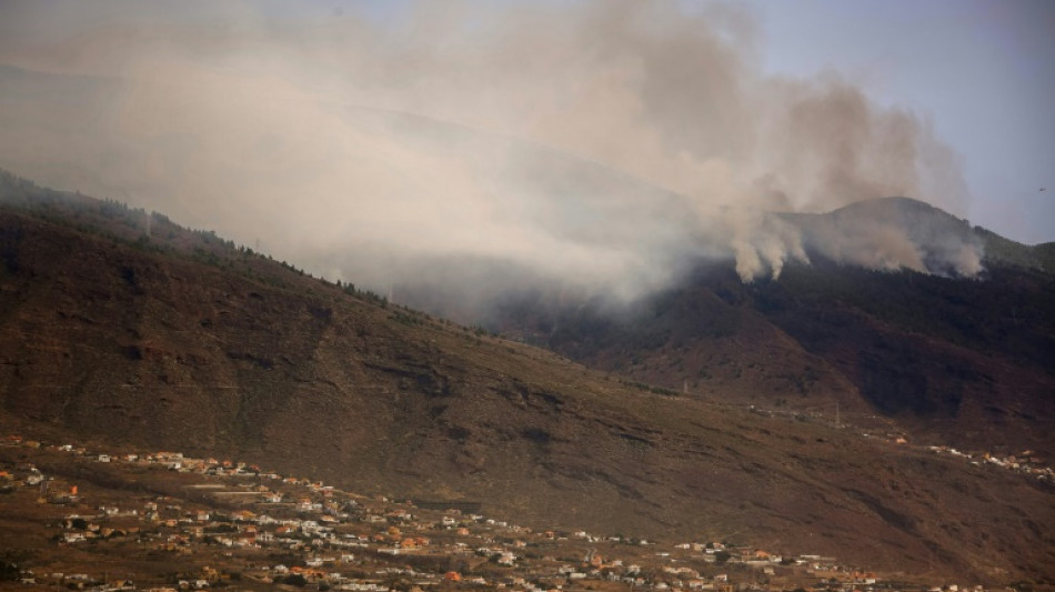 Incendie géant à Tenerife: une nouvelle journée difficile attendue