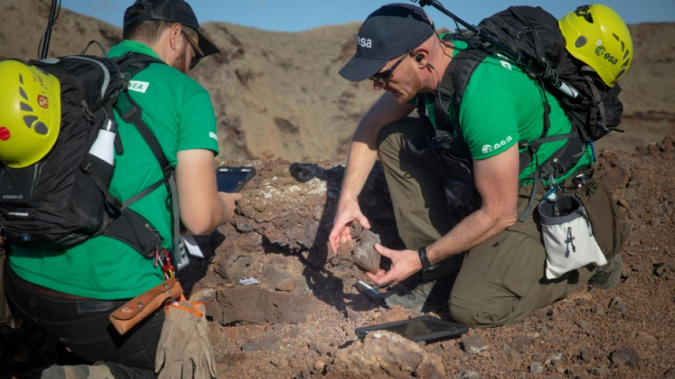 Astronautas se entrenan en una isla volcánica española "como en la Luna"