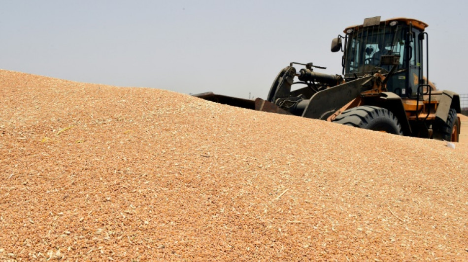 La communauté internationale redouble d'efforts pour contrer la crise alimentaire