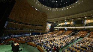 L'Assemblée générale de l'ONU appelle à réguler l'AI et ses risques