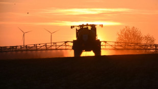 Foodwatch beklagt "massiven" Pestizideinsatz in Getreideprodukion