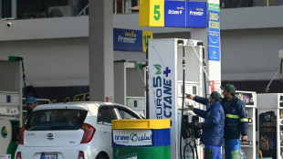 New Pakistan government says willing to curb fuel subsidies