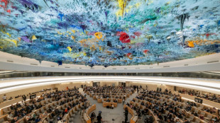 Spat at UN rights council over open-ended Israel probe