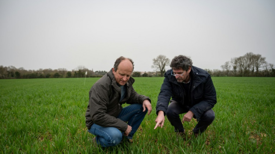 Chercheurs et agriculteurs coopèrent pour diminuer la dépendance aux produits chimiques