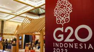 G20 finances chiefs convene amid threats of Ukraine boycott