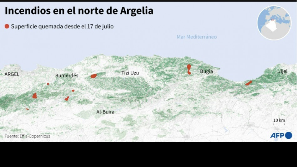 Quince muertos y 26 heridos en incendios forestales en Argelia