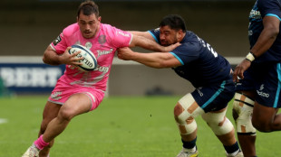 Top 14: le Stade français trace sa route, Toulouse bousculé