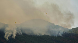 Evolución "favorable" del incendio en Tenerife tras tres días de lucha intensa