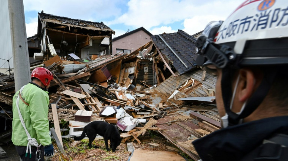 Elsa, una perra socorrista, busca sobrevivientes tras el sismo en Japón