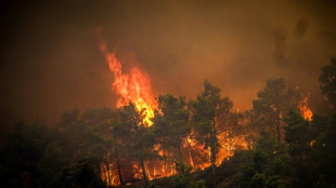 High winds feared as Rhodes fire rages