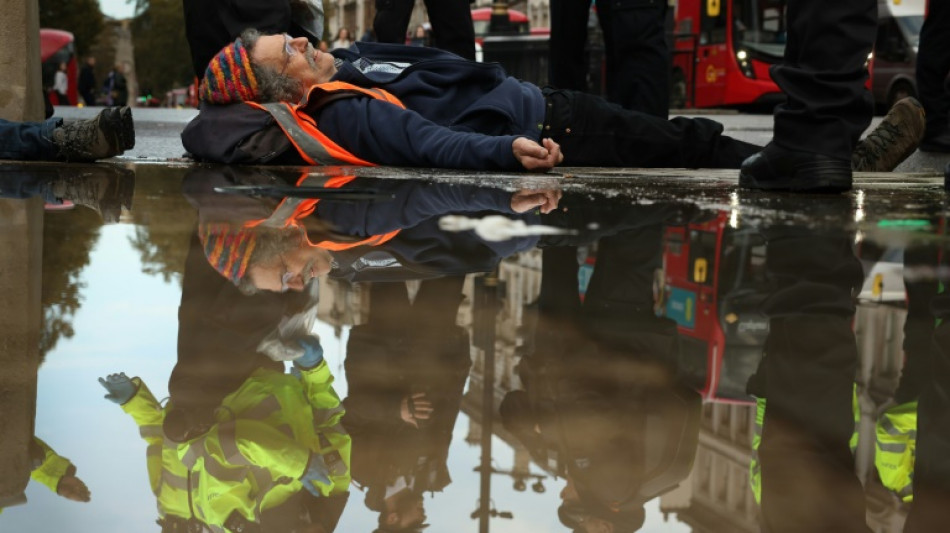 Dozens of climate activists arrested after London 'slow march'