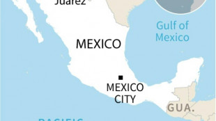 Several killed in fire at Mexico-US border migrant center: local media