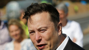 US-Medien: Elon Musk übernimmt Twitter und feuert Spitzenkräfte