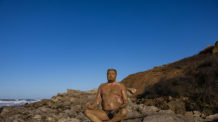 Stève "le Phoque" réussit son défi de nager dans l'Antarctique, à 1°