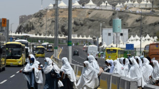 Huge crowds swarm from Mecca for hajj climax