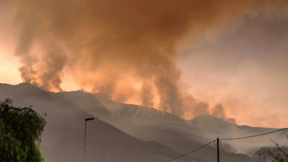 Incendio en la isla española de Tenerife sigue sin control