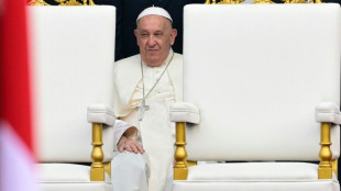 Pope wades back into parenthood debate with cat and dog quip