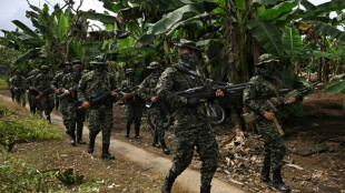 En Colombie, sur les terres de coca de la Segunda Marquetalia