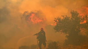 Europe suffered record number of 'extreme heat stress' days in 2023: monitors