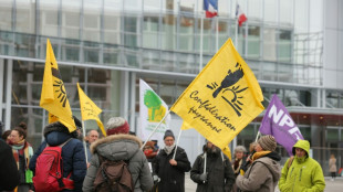 L'heure du verdict des urnes pour les syndicats agricoles