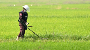 Cambodian farmers risk lives for rice as US freezes demining aid