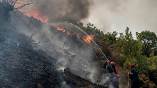 Grecia ofrece una semana de vacaciones a los turistas afectados por los incendios en Rodas