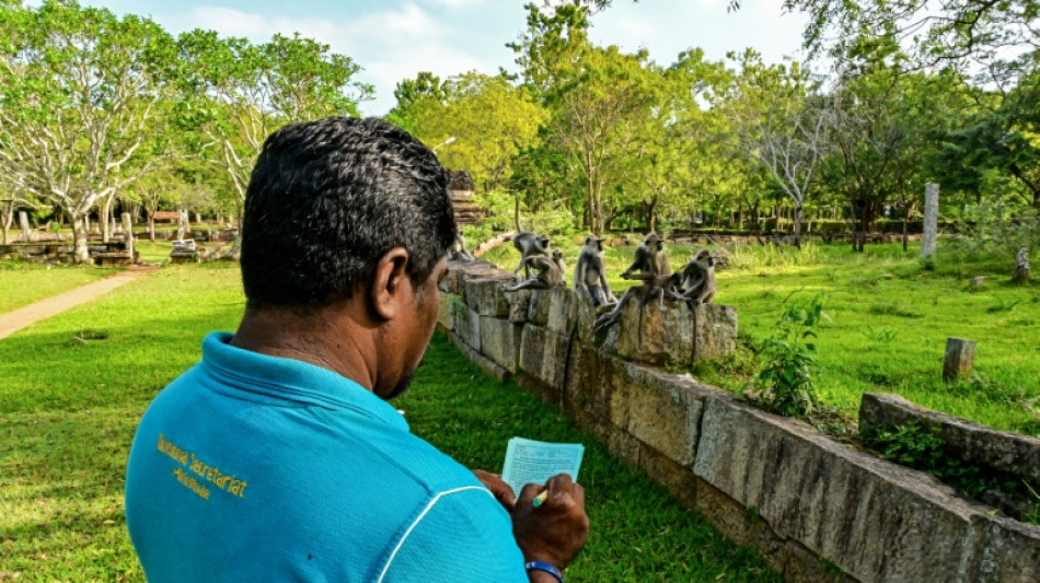 Le Sri Lanka recense les animaux sauvages nuisibles aux récoltes agricoles