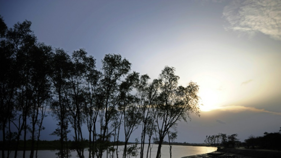 Bangladesh bans plastics in world's largest mangrove forest