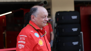 Vasseur: "All'Albert Park bene l'anno scorso, c'é fiducia"