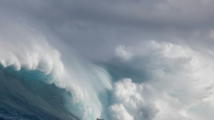 Matthieu Etxebarne, le surfeur volant