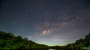 L'Amazonie, enjeu majeur de la présidentielle au Brésil