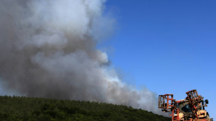 Volunteer firefighters key in France's fight against wildfires