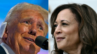 La campaña de Kamala Harris está en marcha: fiscal contra delincuente convicto