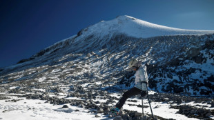 De los Alpes a México, sobrevivientes del cáncer conquistan las "Cumbres de la esperanza"
