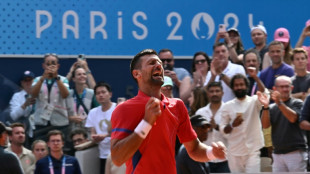 Djokovic says gold 'probably biggest success', eyes 2028 Olympics