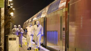 No sign of terror motive in knife attack on German train