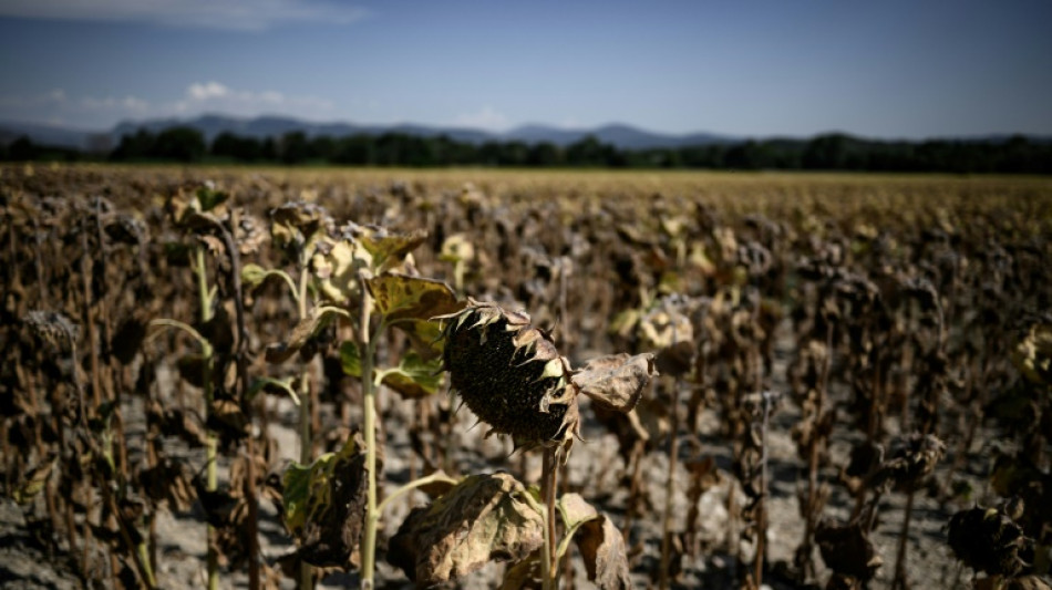 Climate 'countdown clock' report launched ahead of key UN talks