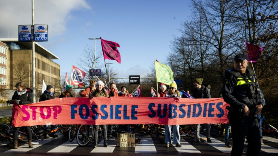 Dutch police detain hundreds at climate protest