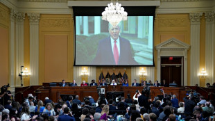 La commission d'enquête sur l'assaut du Capitole promet des éléments "surprenants"