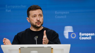 Zelensky seeks EU, NATO backing for 'victory plan'