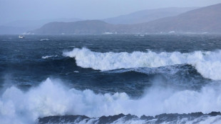 Tempête Eowyn: l'UE envoie des générateurs électriques à l'Irlande