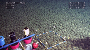 Gobiernos y oenegés piden prudencia ante minería submarina