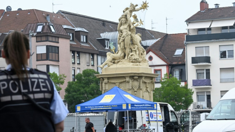 Candidate for Germany's far-right AfD wounded in clash