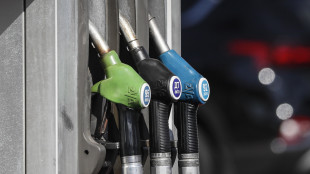 Ppe, sì a anticipare esame Ue su stop auto diesel-benzina