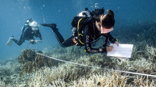 Saving nature can 'unite world' countries told at rebooted UN talks