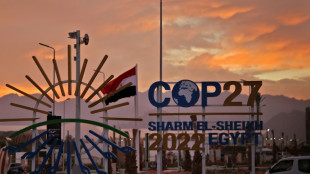 COP27: désaccords persistants à l'orée de la dernière ligne droite